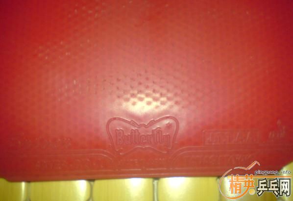 ���˴�������׽��� 05ʡ����  ��  SRIVER ��