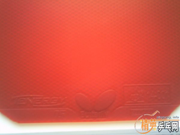 ����TENERGY 05=230Ԫ��TSP CURL P-1R����=110Ԫ