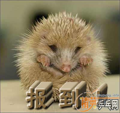 ����ÿ�ձ�������