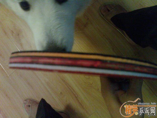 ������m6���FL��