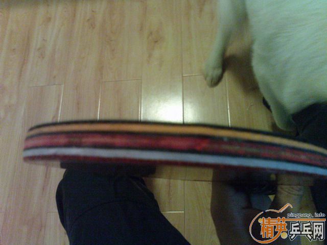 ������m6���FL��