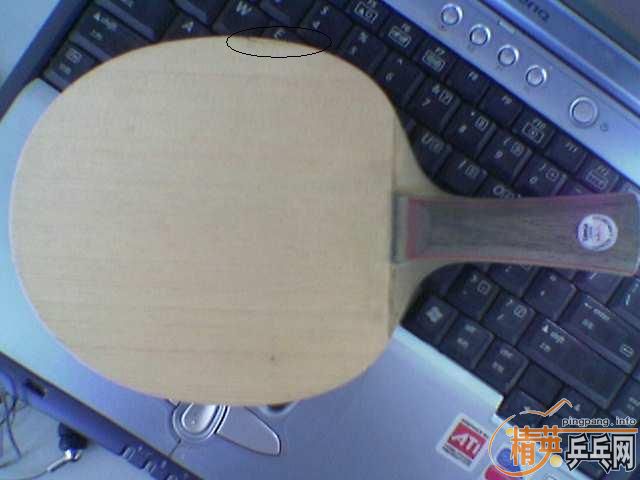 ����̼��bryce-fx��563