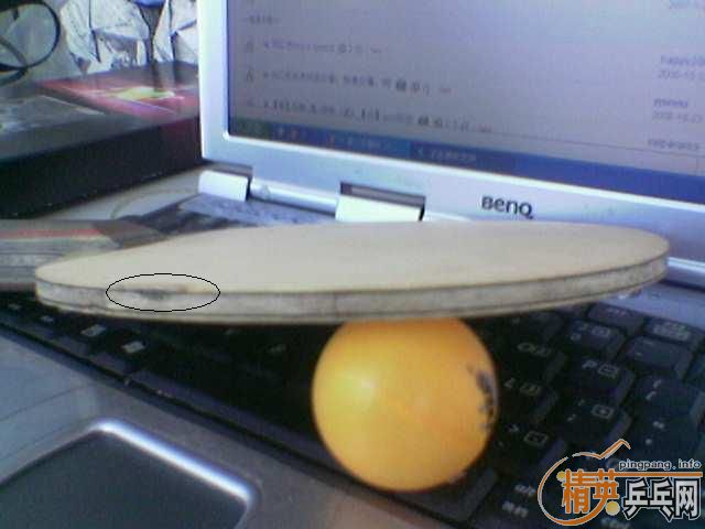 ����̼��bryce-fx��563