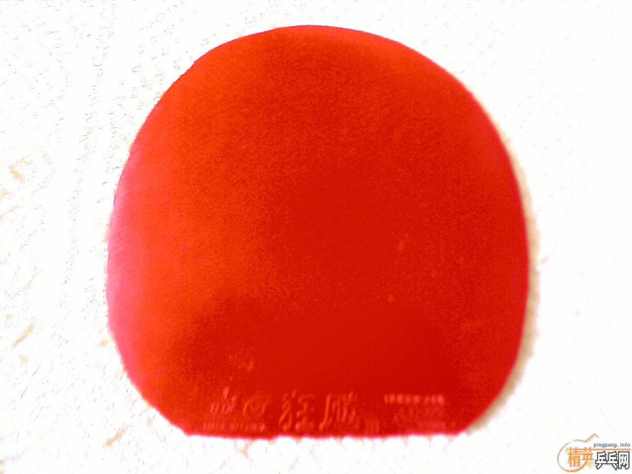 �ż۳�����