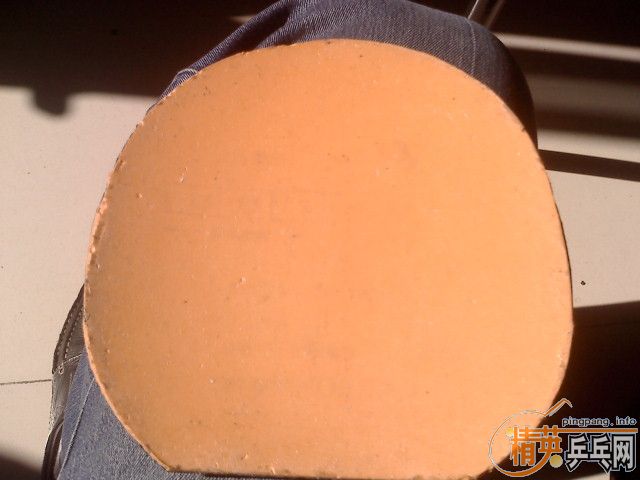 �����л�alpha