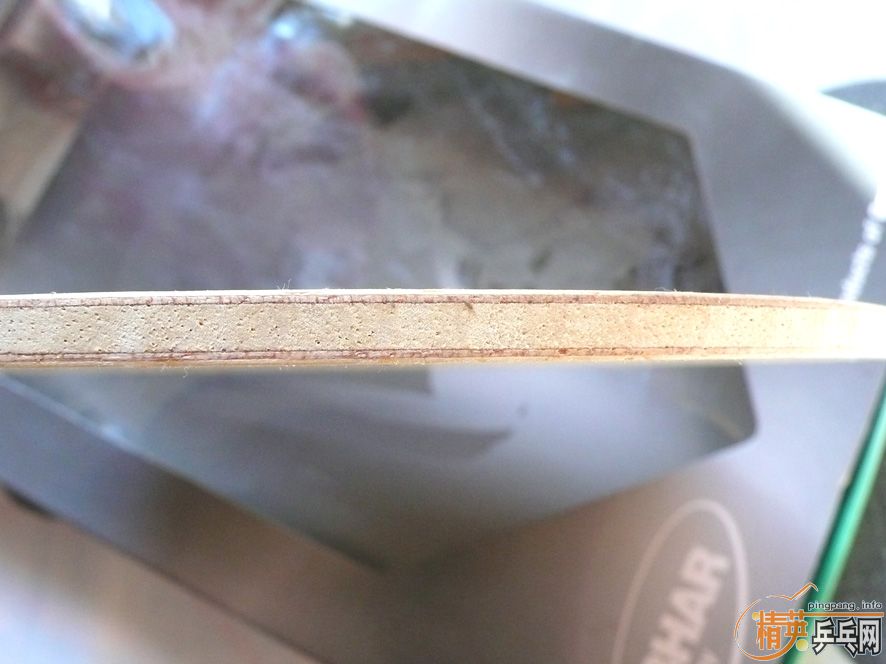 �������������ͦ�� ������FL 220Ԫ����