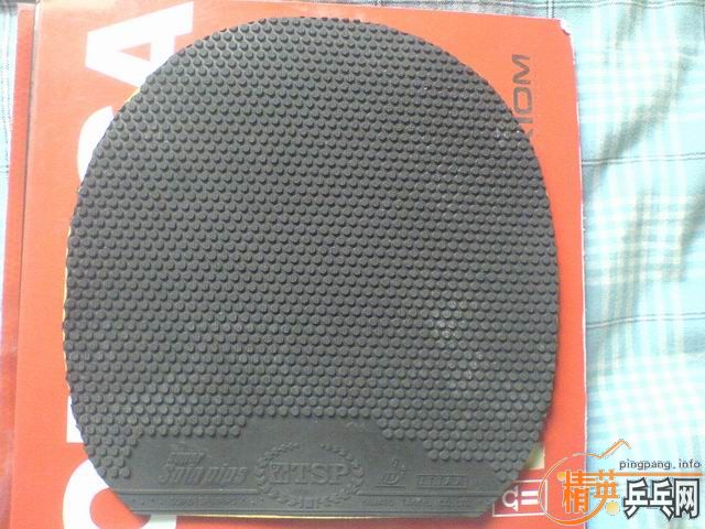 95�µ�tsp����