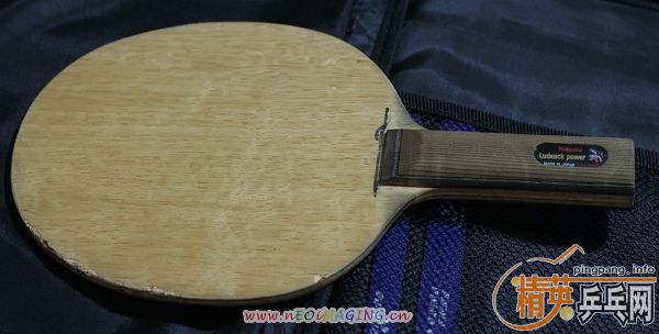 ��97��С��Ȱ�