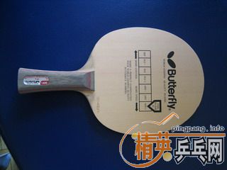 ����̼30101FL