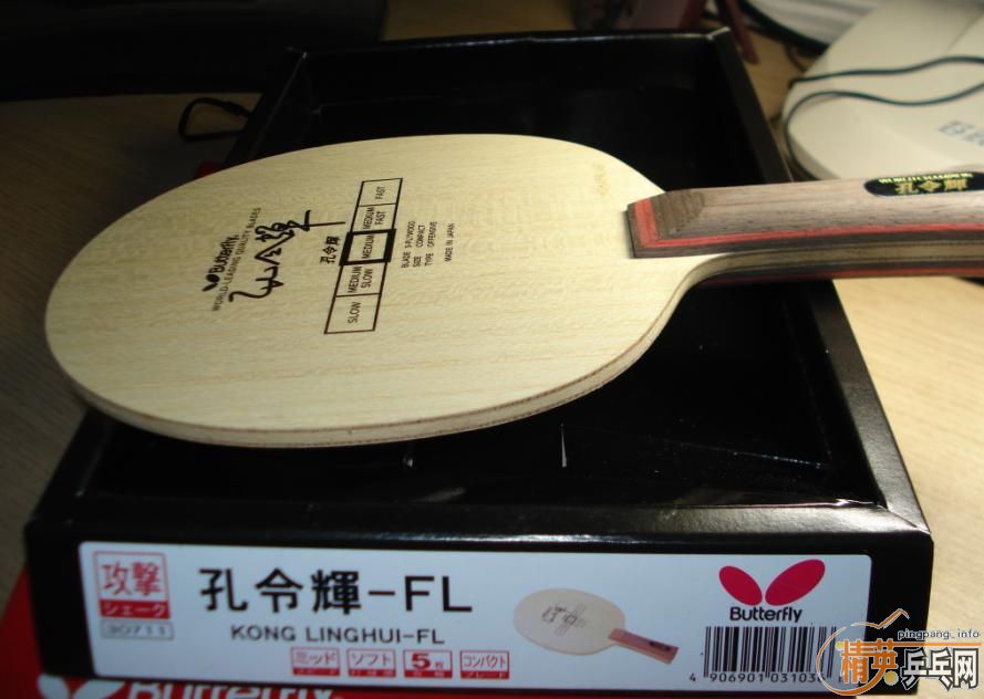 ϸfl��ľ������ʲô