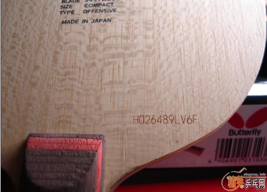 ϸfl��ľ������ʲô