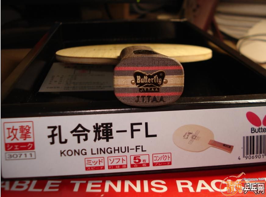 ϸfl��ľ������ʲô