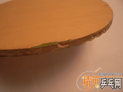 Nittaku ���������ͽ�Ƥ�� �� Donic Dotec ���ͽ�Ƥ��