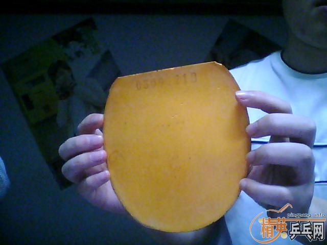 [ԭ��]03�������yasaka Zap��60���죩��