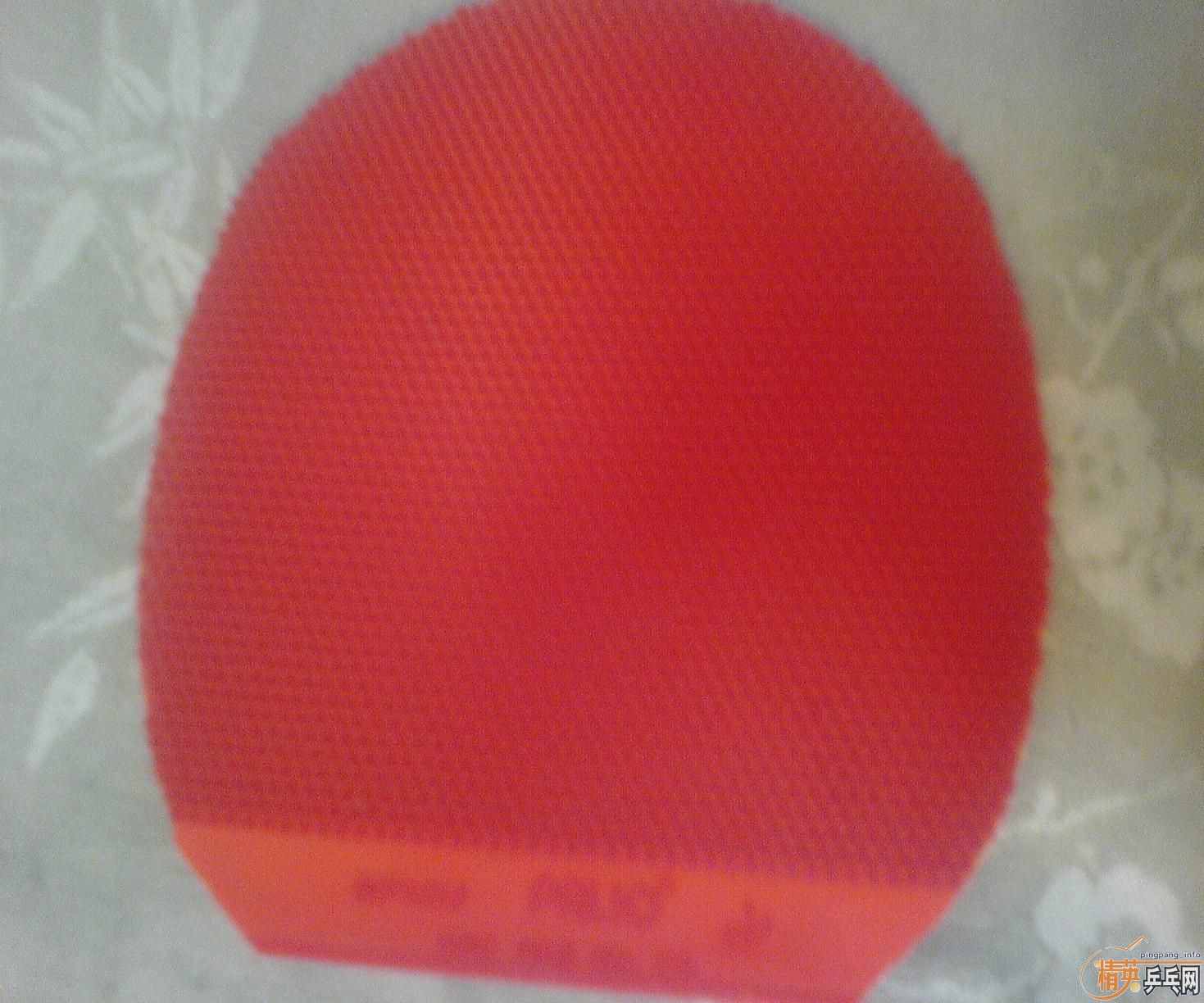 80����������׽�