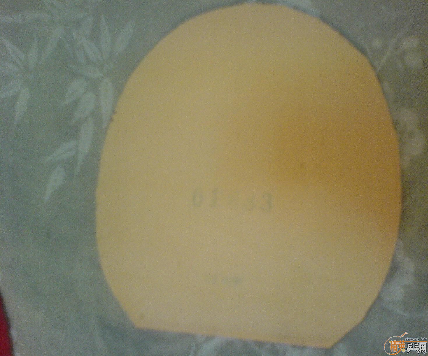 80����������׽�