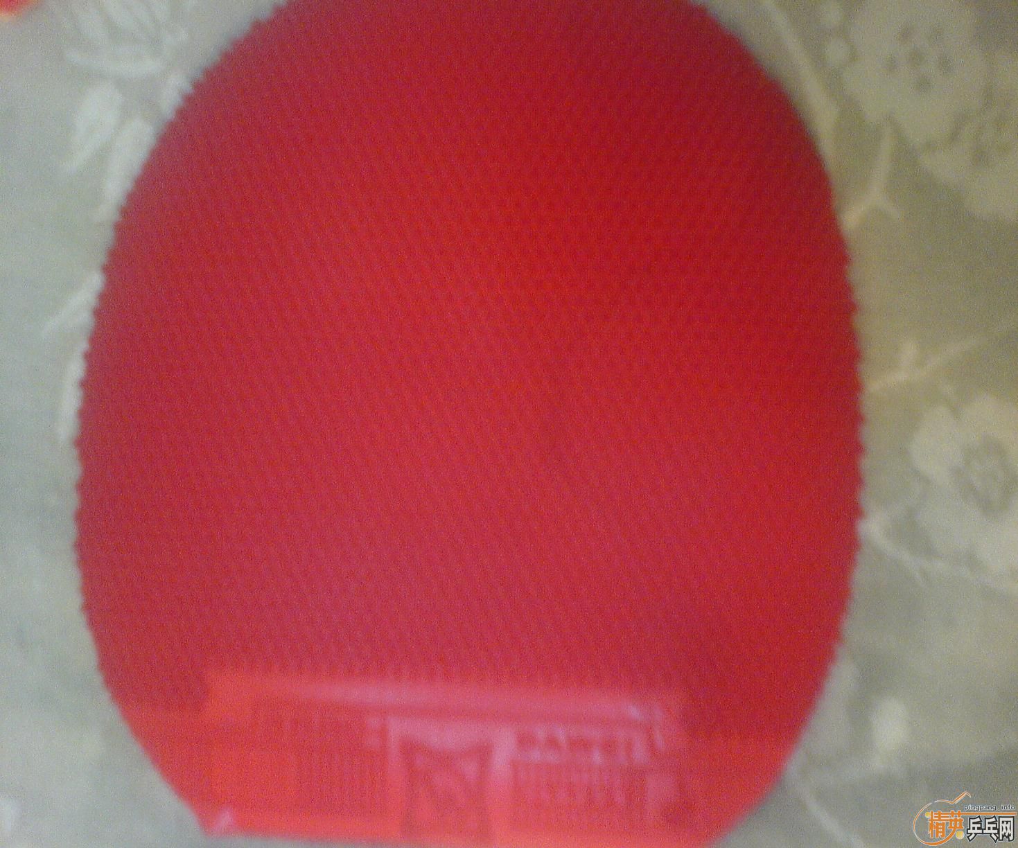 80����������׽�