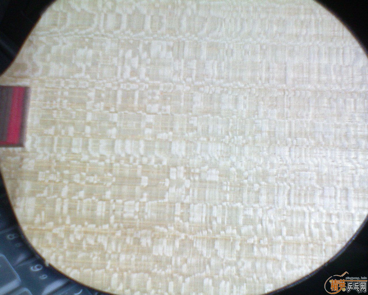 [ԭ��]�����龭�䴿ľ�װ��̼�صװ�