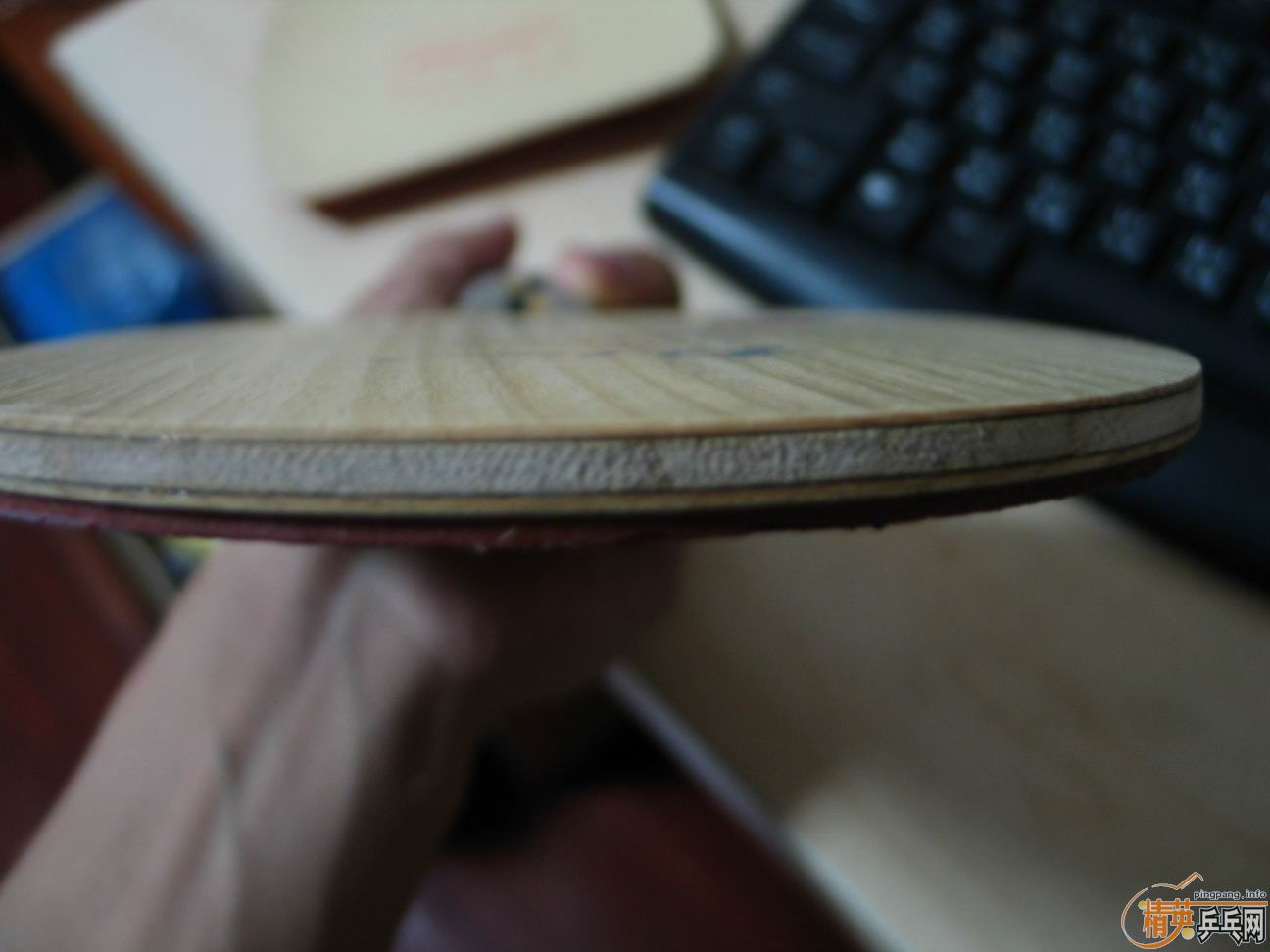 ������һ�����ڵ�ֱ��palio��̼��TC-1