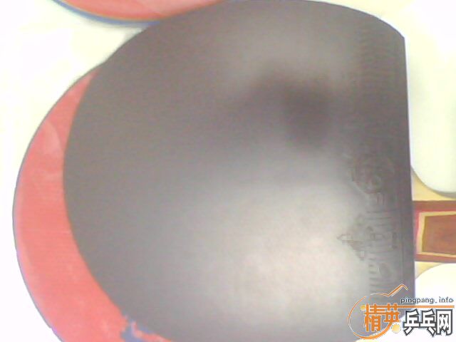 ��������R5ֱ��(֧����)