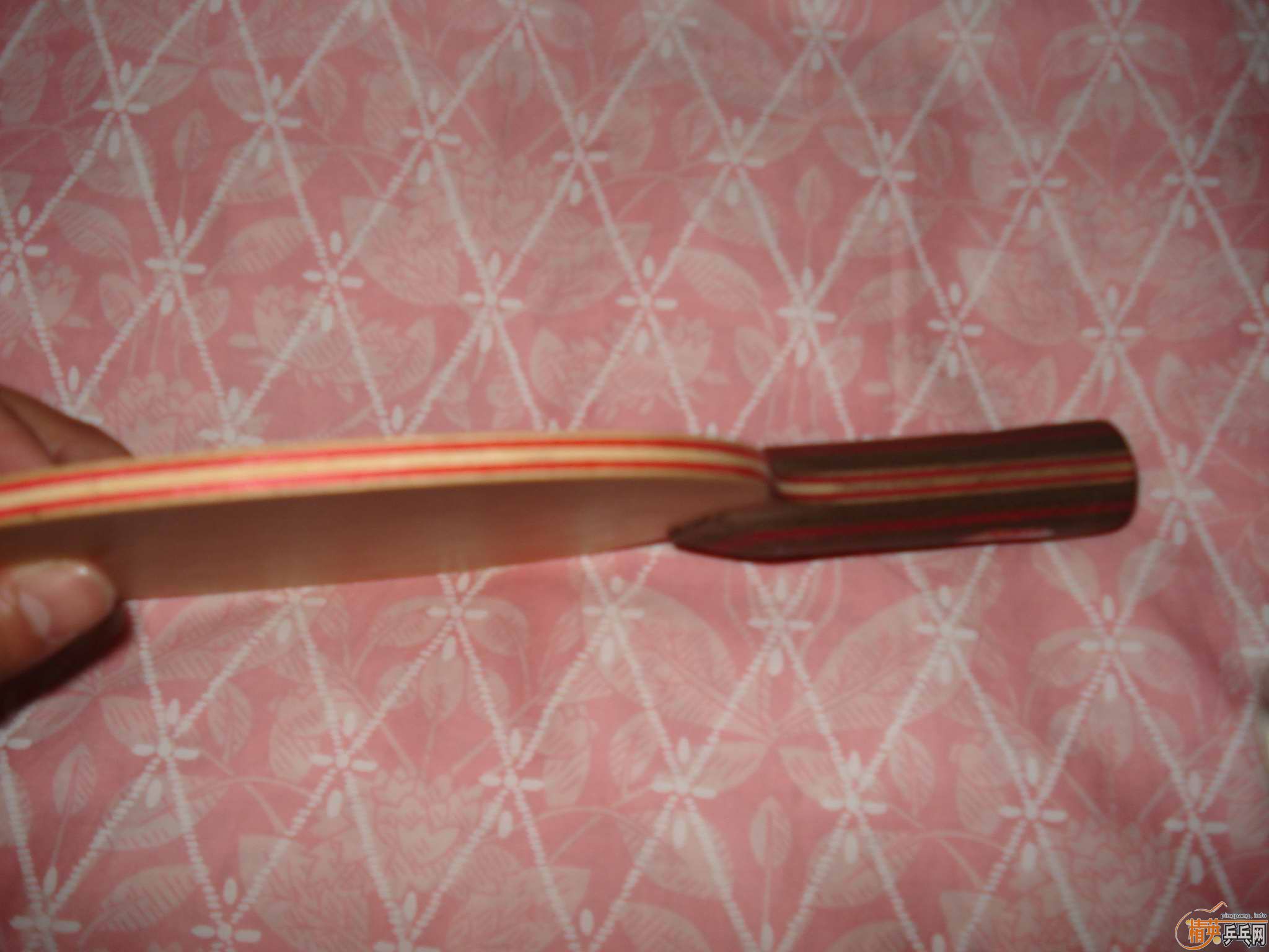 ���ĳ��������fl�Ʊ�clwrb�������ٽ�