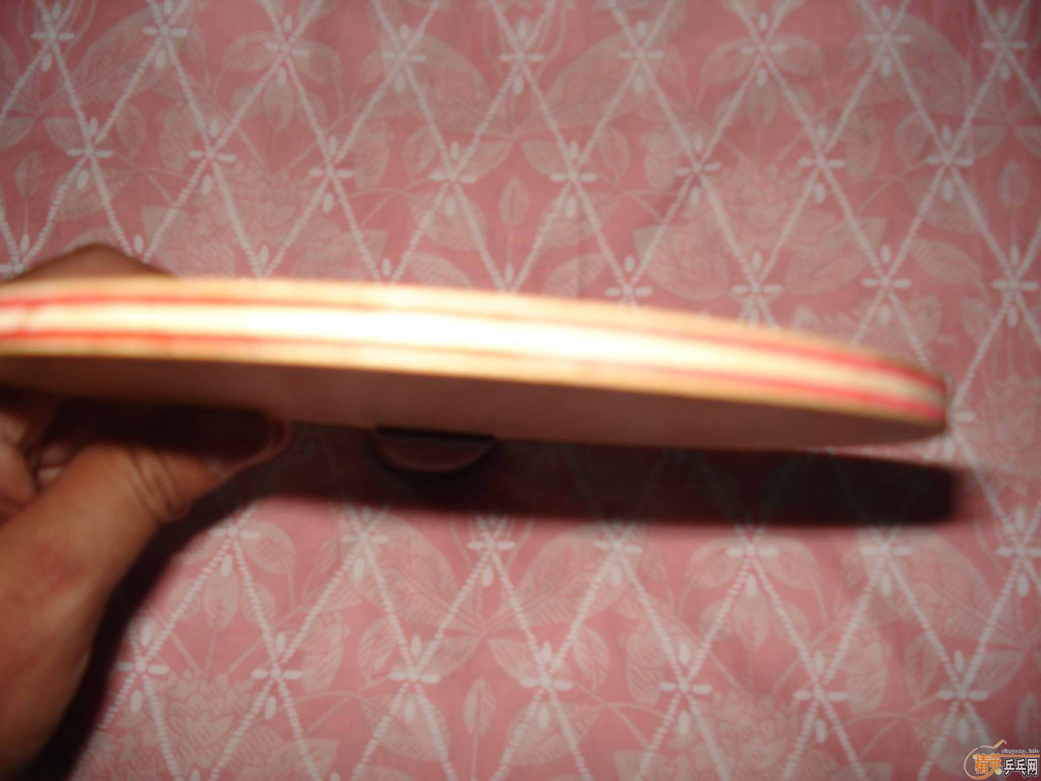 ���ĳ��������fl�Ʊ�clwrb�������ٽ�