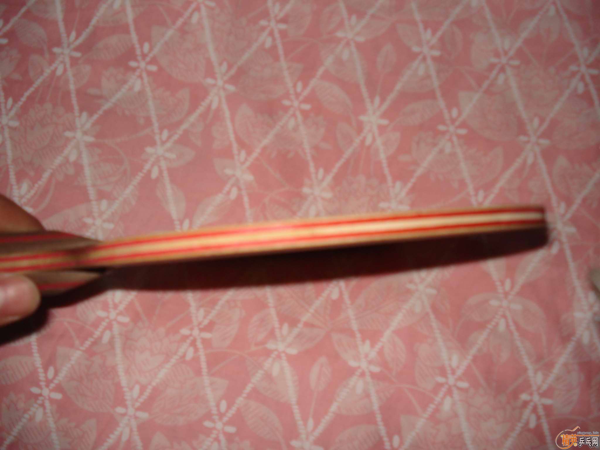 ���ĳ��������fl�Ʊ�clwrb�������ٽ�