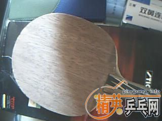 �����������ͽ�Ƥ