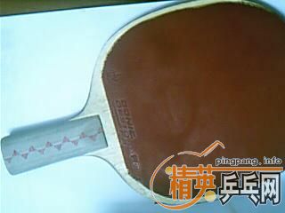 ���Ʊ�OC����̼���Ϻ�˫����Ϊ����YE��