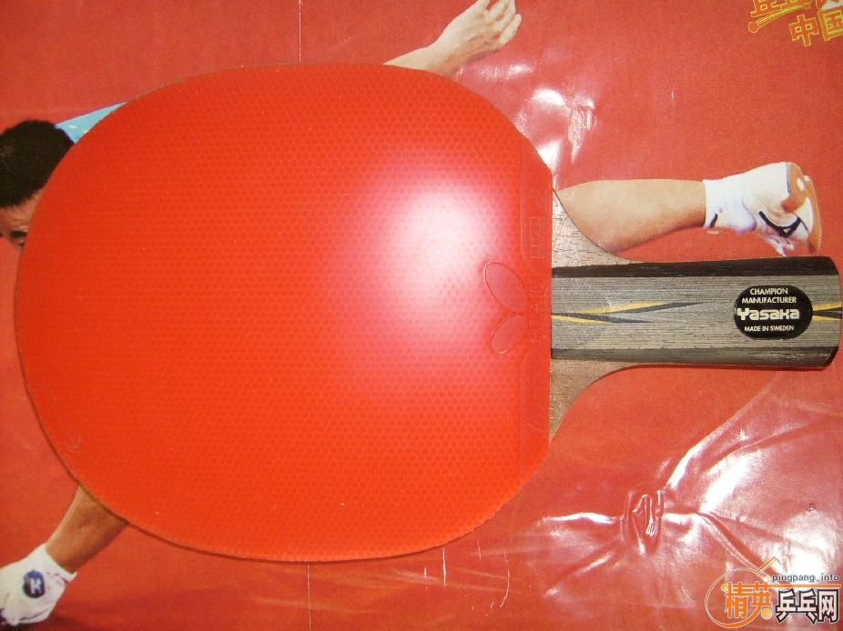 ��ƷYEO���������˳����������㶫����Ҫ��Ҫ������