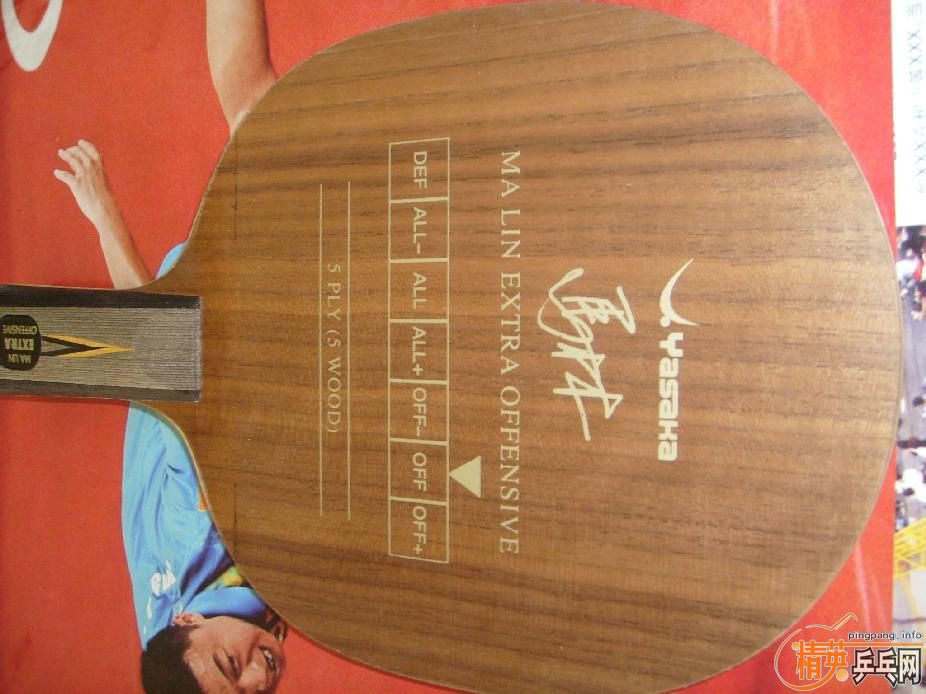 ��ƷYEO���������˳����������㶫����Ҫ��Ҫ������