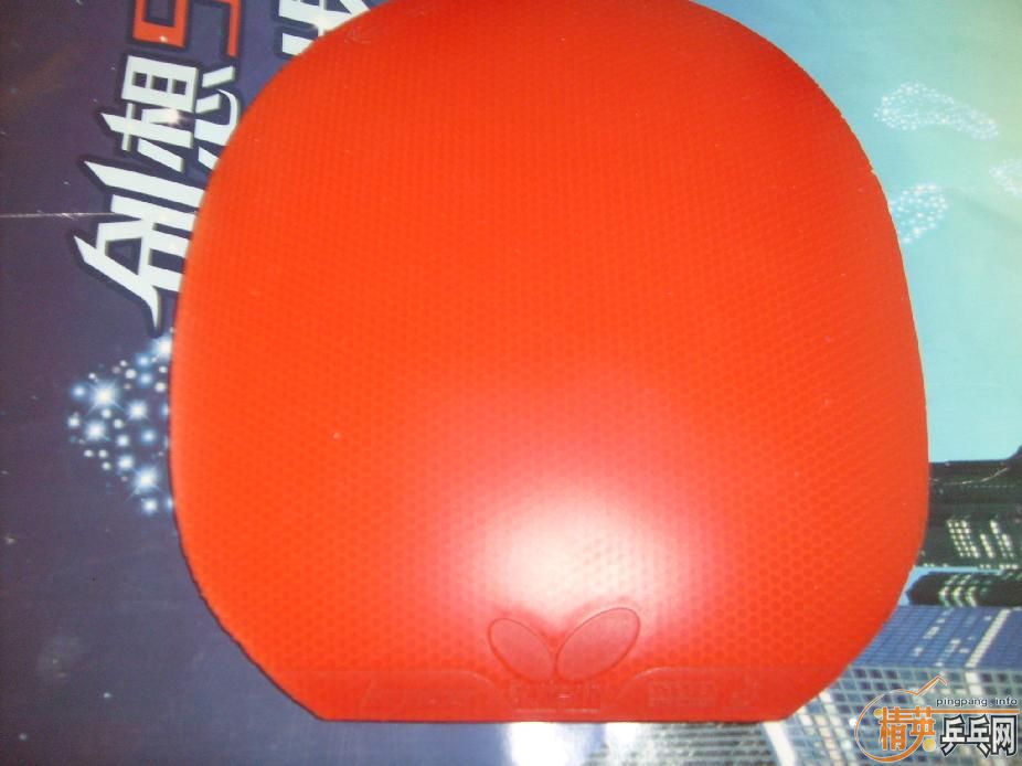 ��ƷYEO���������˳����������㶫����Ҫ��Ҫ������