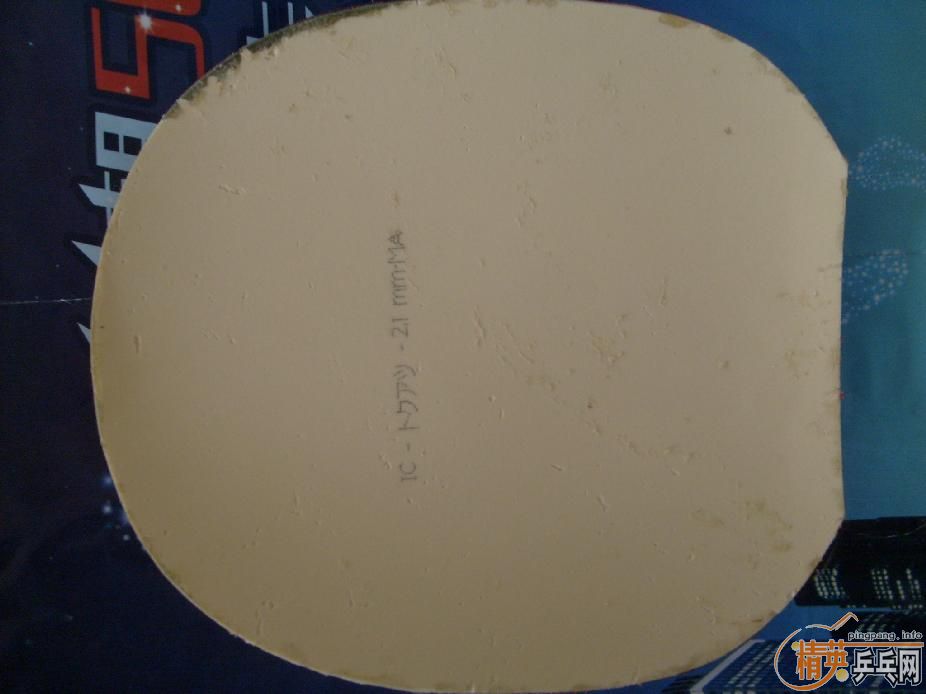 ��ƷYEO���������˳����������㶫����Ҫ��Ҫ������