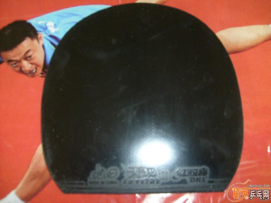 ��ƷYEO���������˳����������㶫����Ҫ��Ҫ������