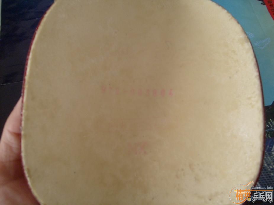 ��ƷYEO���������˳����������㶫����Ҫ��Ҫ������