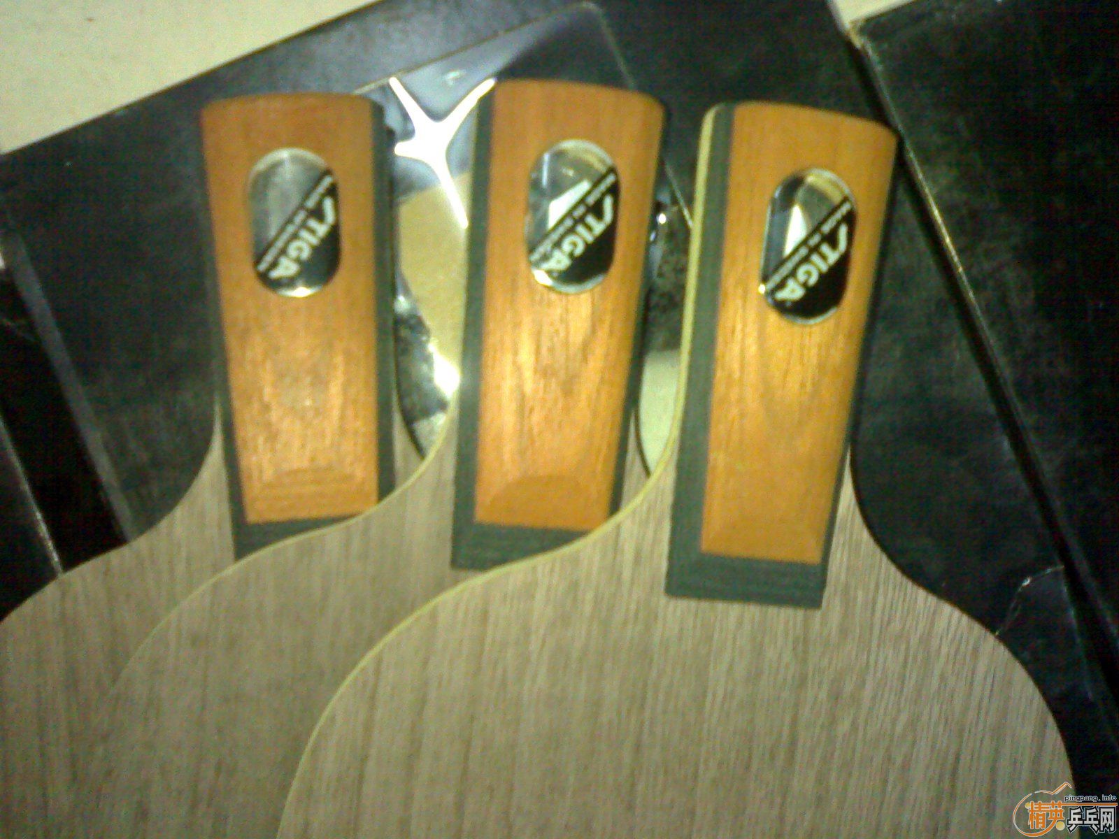 3���Ʊ�OC��