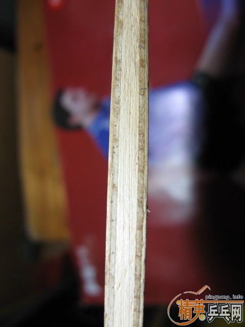 ���������ĺͽ�Ƥ