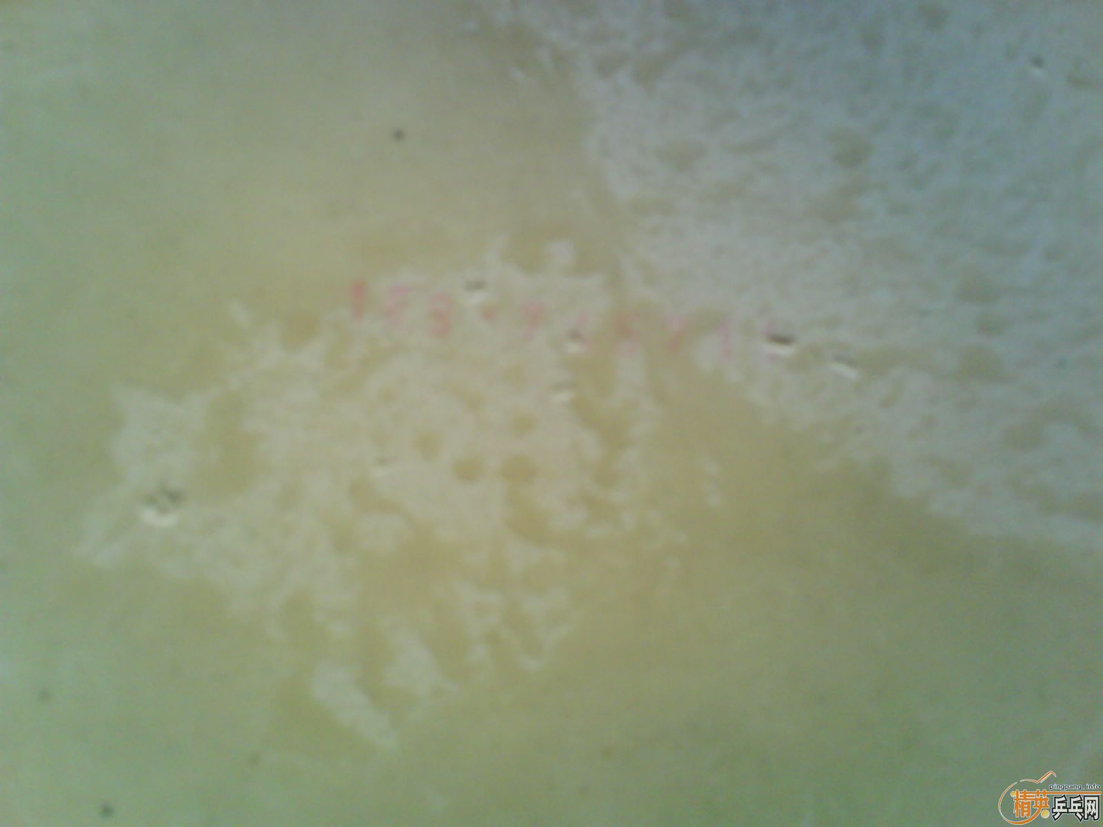 ����ɫF1 ��ɫ����3  ��Ϊ�����