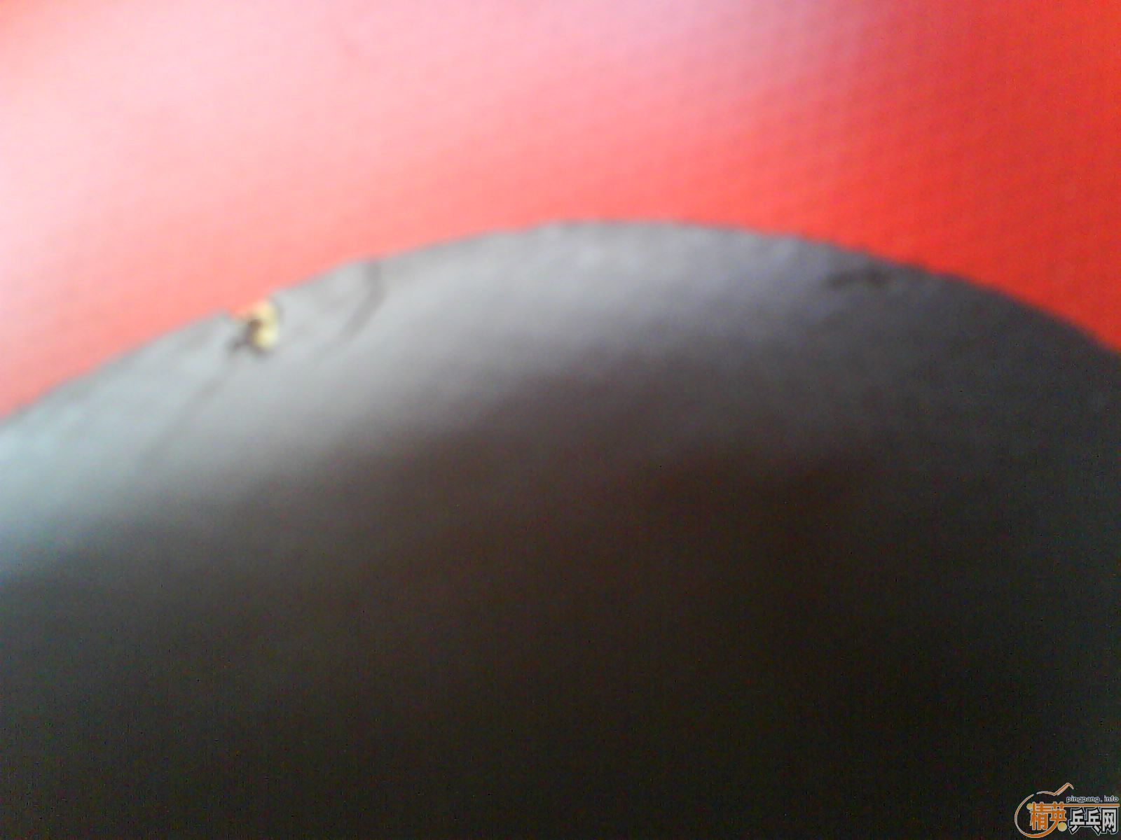 ����ɫF1 ��ɫ����3  ��Ϊ�����