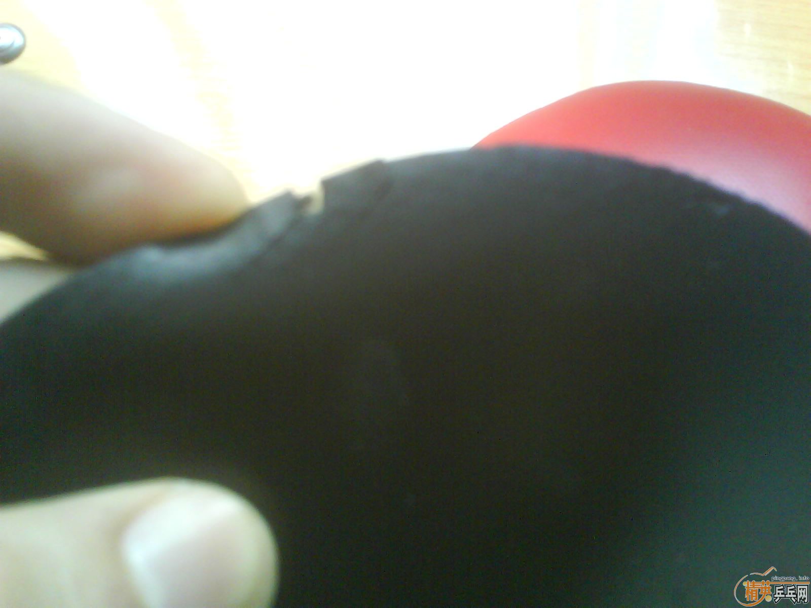 ����ɫF1 ��ɫ����3  ��Ϊ�����