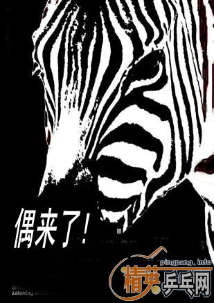 ����ÿ�ձ�������