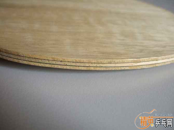 ��˹FL300����