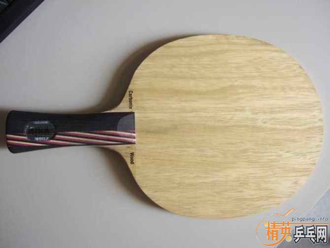 ��˹FL300����