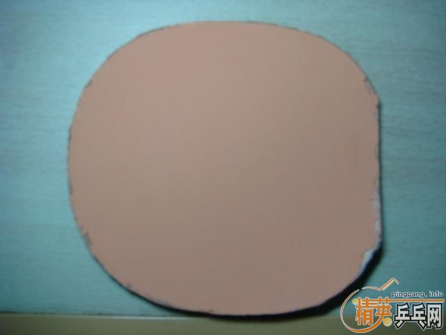 ��86��ֱ�弪��550����ݣ���nittaku���,�׽�һŵ��70���İ�20