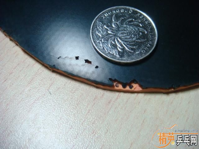 ��86��ֱ�弪��550����ݣ���nittaku���,�׽�һŵ��70���İ�20