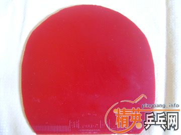 ��ֱ�壩��һ��˹�ٿ�ŷ������̼��9.8�ͺ�����ɫ21580