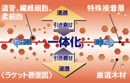 ����Nittaku������