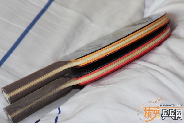 ��ֻ��������Ī���δ�ľ������280��230��