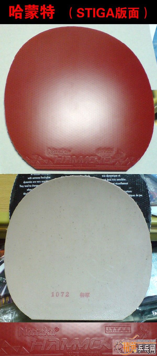 ������ FL