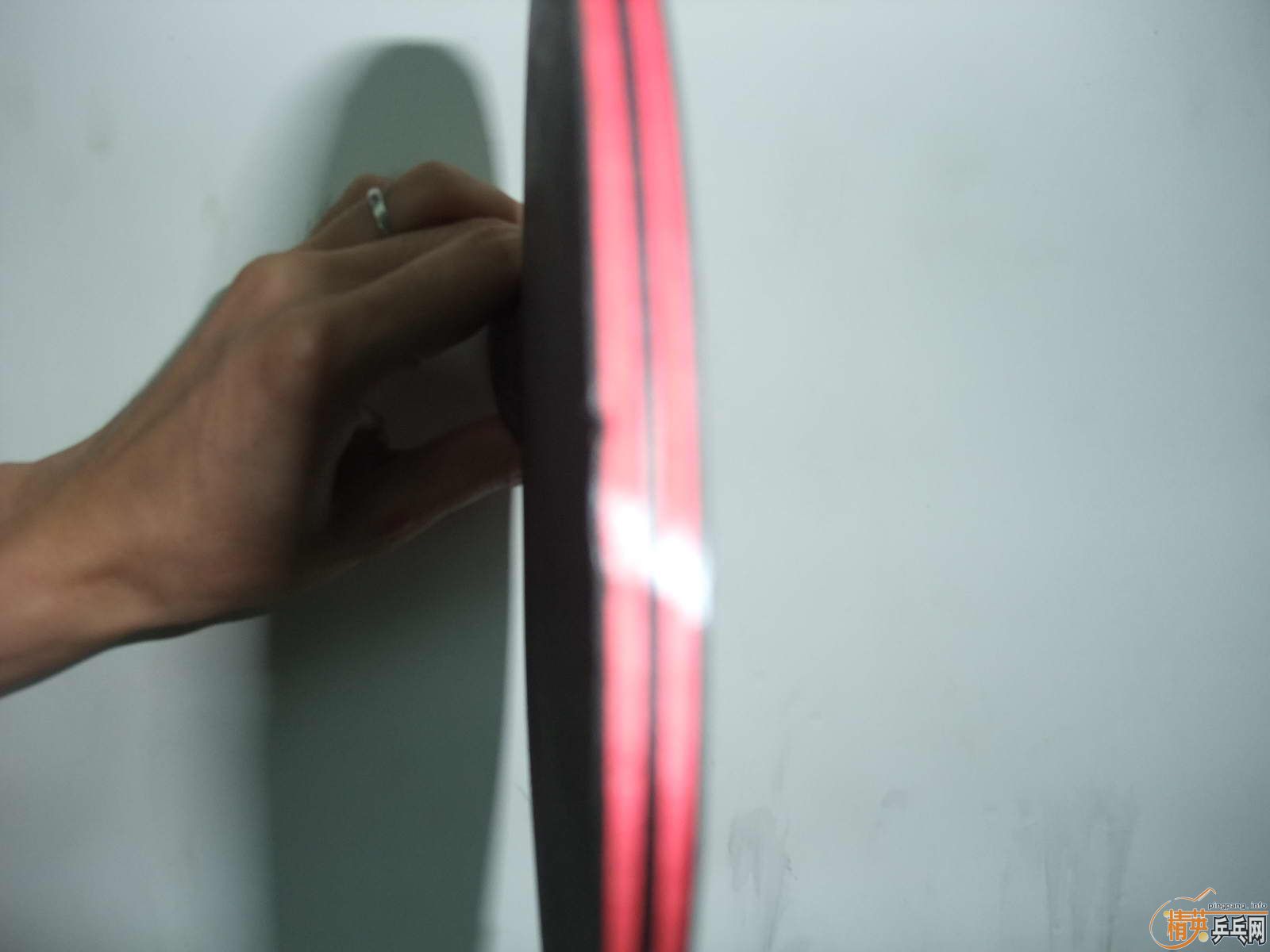 �뾫Ӣ�����æ����һ�¼۸�---����̼��9.8